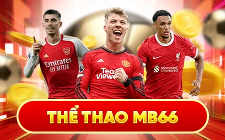 banner-the-thaomb66