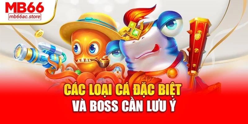 Các loại cá đặc biệt và boss cần lưu ý