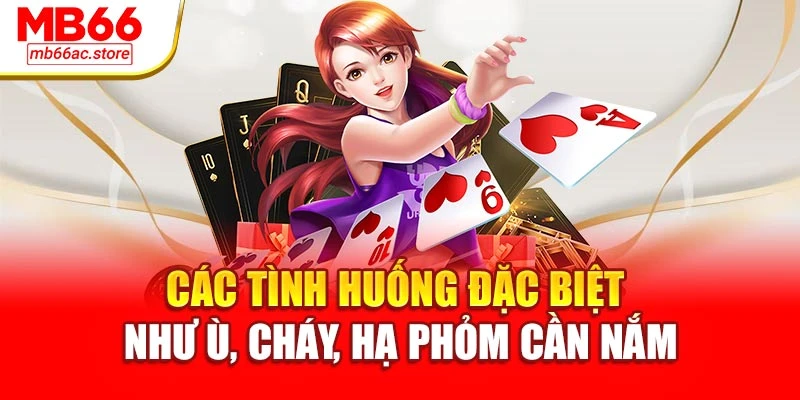 Các tình huống đặc biệt như ù, cháy, hạ phỏm cần nắm