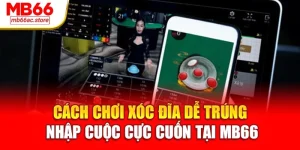 Cách chơi Xóc Đĩa dễ trúng, nhịp cược cực cuốn tại MB66