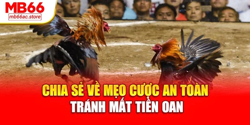 Chia sẻ về mẹo cược an toàn tránh mất tiền oan
