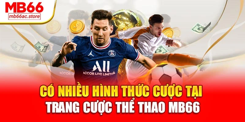 Có nhiều hình thức cược tại trang cược thể thao MB66