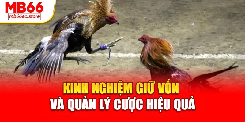 Kinh nghiệm giữ vốn và quản lý cược hiệu quả