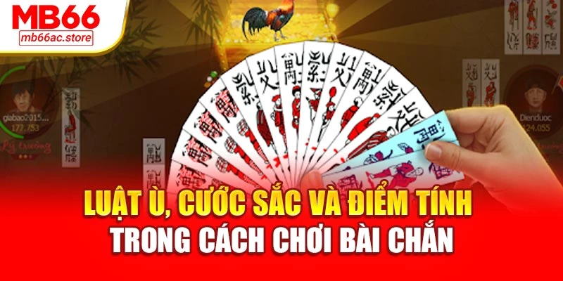 Luật ù, cước sắc và điểm tính trong cách chơi bài chắn