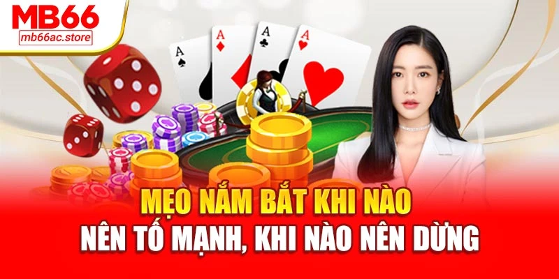 Mẹo nắm bắt khi nào nên tố mạnh, khi nào nên dừng