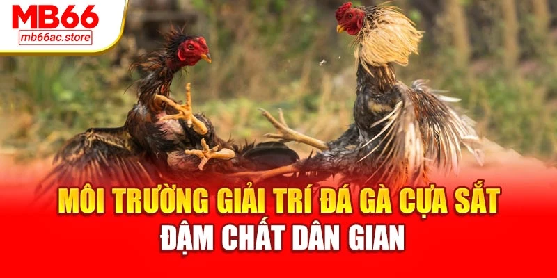 Môi trường giải trí đá gà cựa sắt đậm chất dân gian