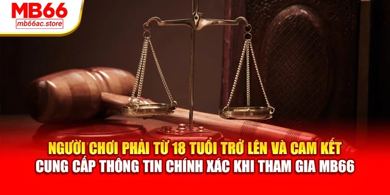 Người chơi phải từ 18 tuổi trở lên và cam kết cung cấp thông tin chính xác khi tham gia MB66